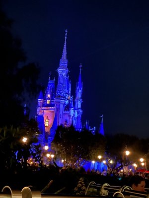 IMG_8521.jpeg