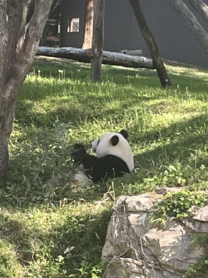 IMG_0822.jpeg