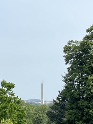IMG_1195.jpeg