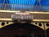 IMG_8225.jpg