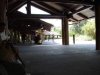 disney-s-animal-kingdom.jpg