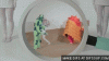 giphy.gif