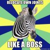 EDSzebra.jpg