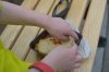 DSC_0583TR.jpg