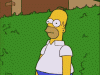 giphy (17).gif