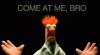 tumblr_lj22orBoPn1qakh43o1_500.gif