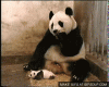1307045037755769.gif