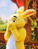 Rabbit.jpg