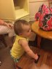 IMG_7317.JPG IMG_7317.JPG