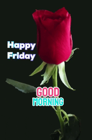 IMG_5380.gif