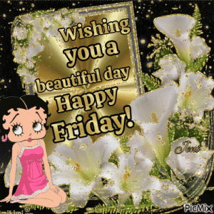 IMG_5381.gif