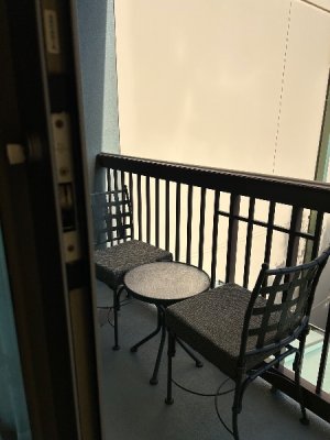 IMG_7036.jpeg