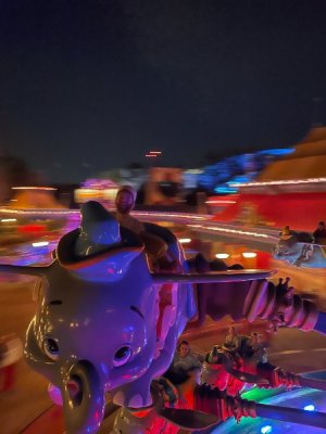 IMG_6295.JPG