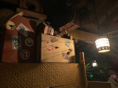 IMG_6305.JPG IMG_6305.JPG