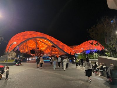 IMG_6321.JPG