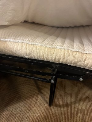 IMG_4112.jpeg