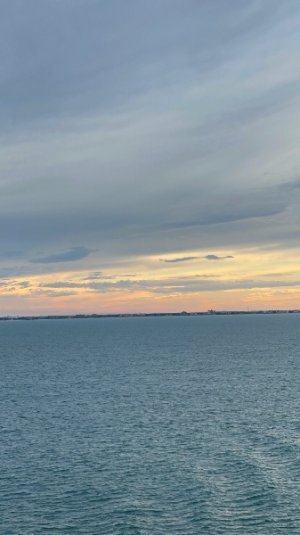 IMG_3023.jpeg