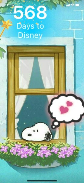 SNOOPY WINDOW FLOWER BOX.jpeg