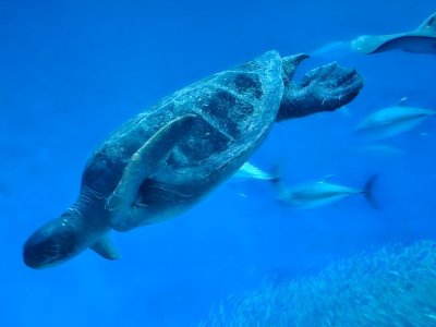 20230920_124902[1].jpg