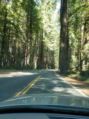 20190923_125743[1].jpg
