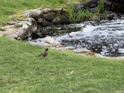 IMG_8029.jpeg