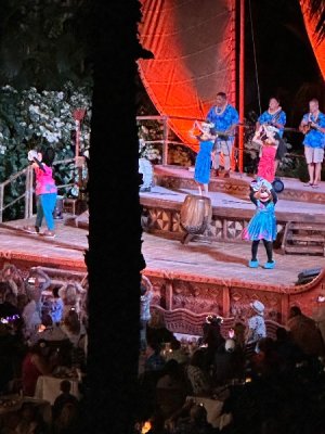 IMG_2627.jpeg