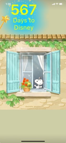 SW WINDOW FLOWERS.jpeg