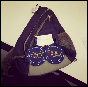 2017 sling bag.PNG