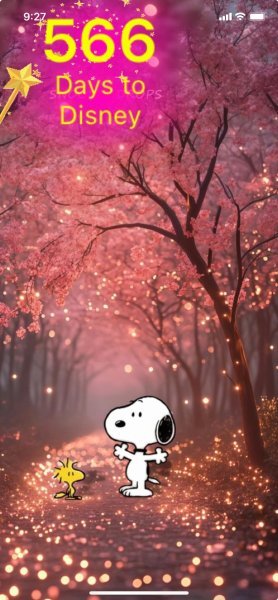 SW TWINKLY CHERRY BLOSSOMS.jpeg