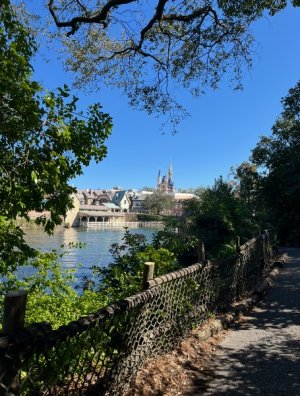 IMG_8521.jpeg