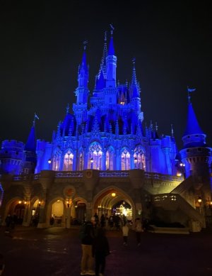 IMG_8525.jpeg