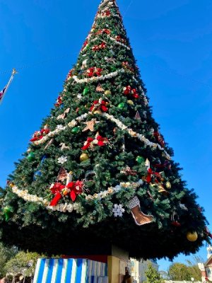 IMG_0273.jpeg
