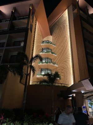 IMG_4367.jpeg