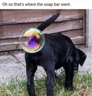 IMG_6655.jpeg