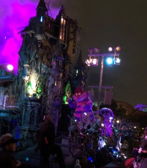 IMG_8273.jpeg
