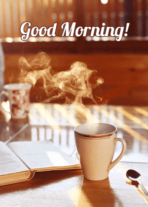 IMG_5443.gif