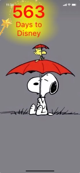 SW RAIN UMBRELLA.jpeg