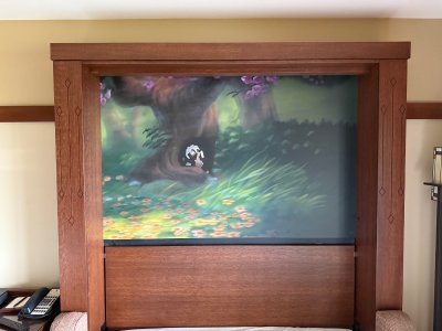 IMG_6571.jpeg