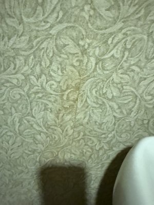 IMG_6572.jpeg