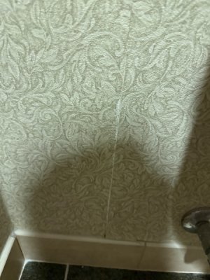 IMG_6573.jpeg