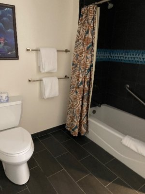 IMG_4279.jpeg