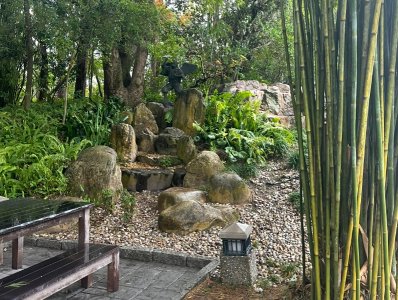 IMG_8572.jpeg