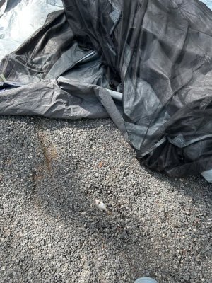 IMG_3141.jpeg