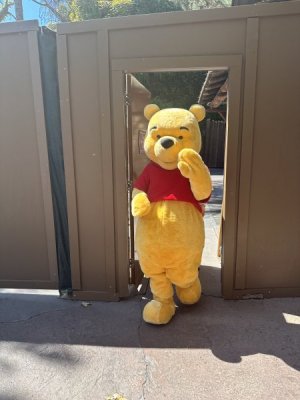 IMG_2107.jpeg