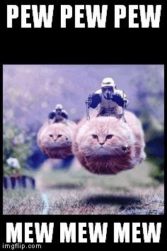 cats.gif cats.gif