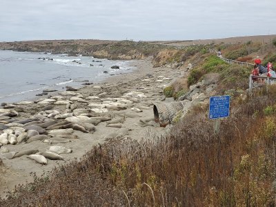 20190927_114207[1].jpg