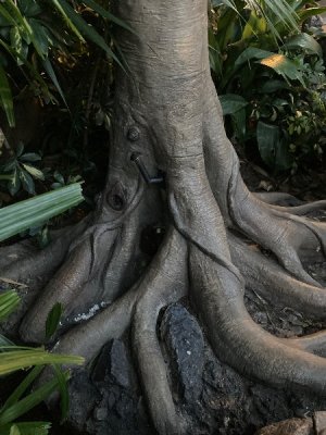 IMG_3212.jpeg