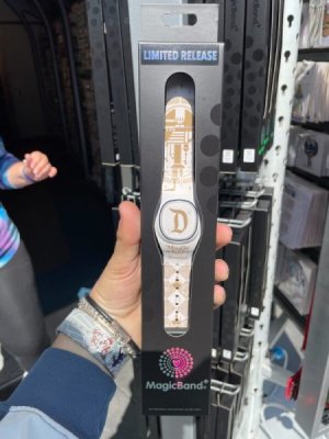 MagicBand-plus-at-Disneyland-7.jpg