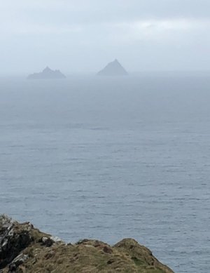 IMG_1794.jpeg