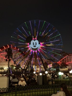IMG_0435.JPG